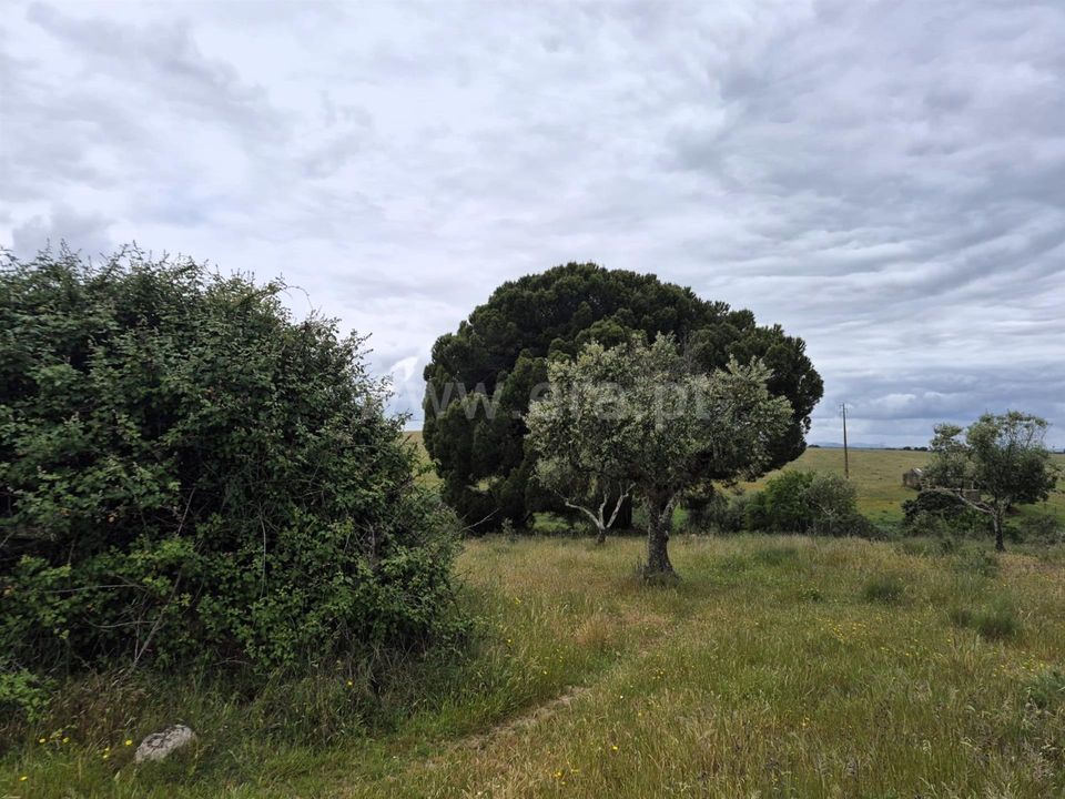 Erhvervsejendom i Nisa, Portalegre - foto 5