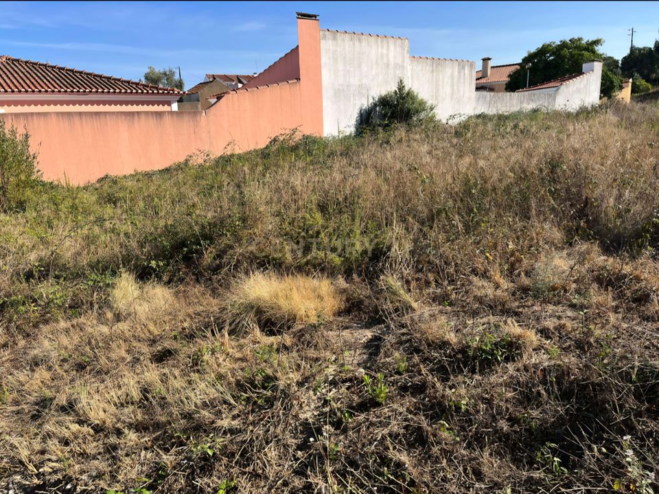 Helårsgrund i Cadaval, Lisbon - foto 3