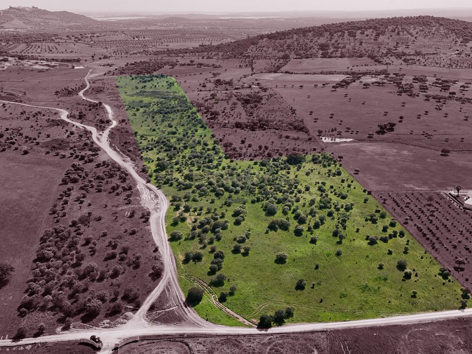 Helårsgrund i Reguengos de Monsaraz, Evora - foto 1