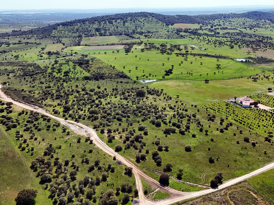 Helårsgrund i Reguengos de Monsaraz, Evora - foto 3