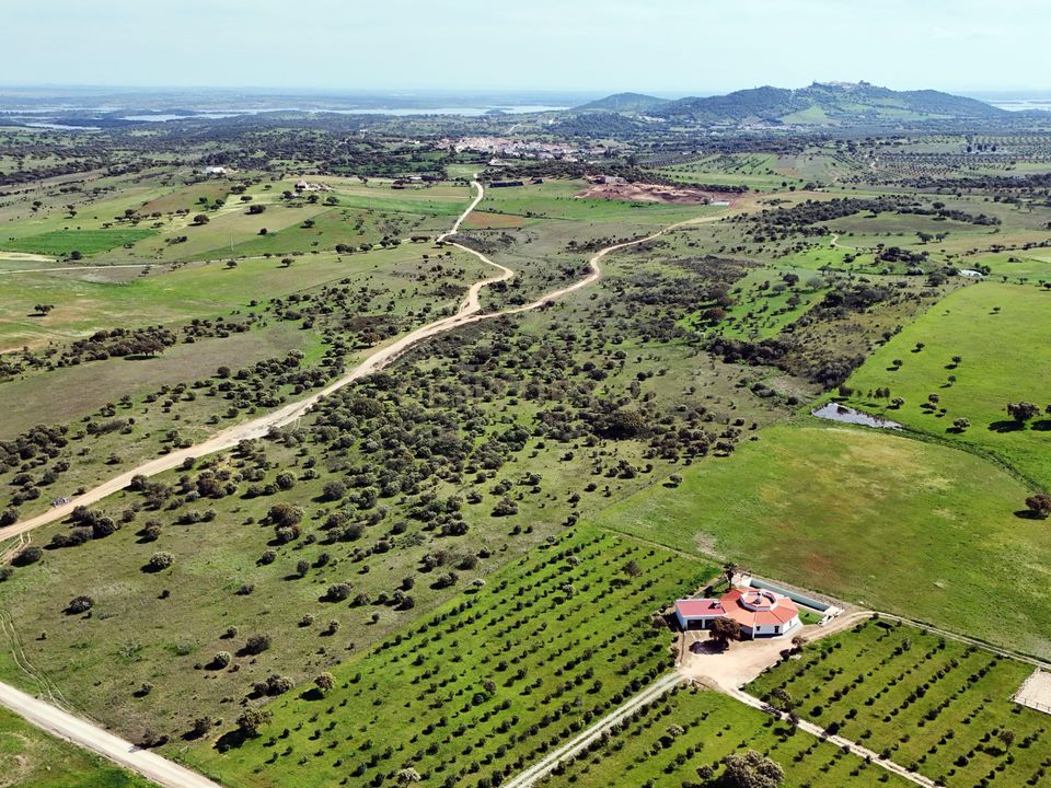 Helårsgrund i Reguengos de Monsaraz, Evora - foto 4