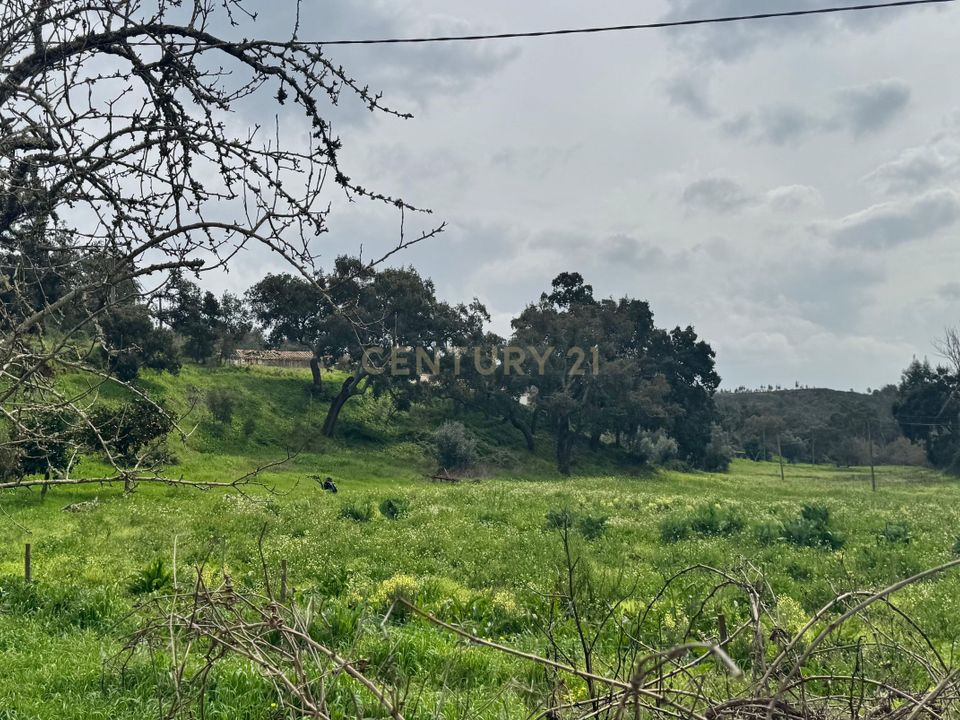 Helårsgrund i Odemira, Beja - foto 2