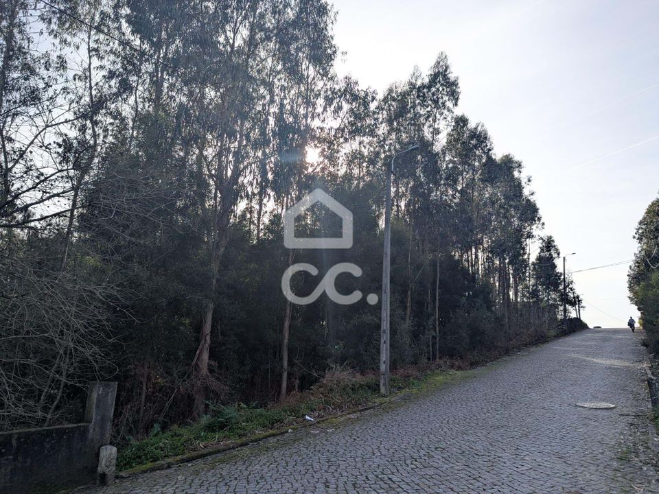 Helårsgrund i Vila Nova de Famalicao, Braga - foto 3