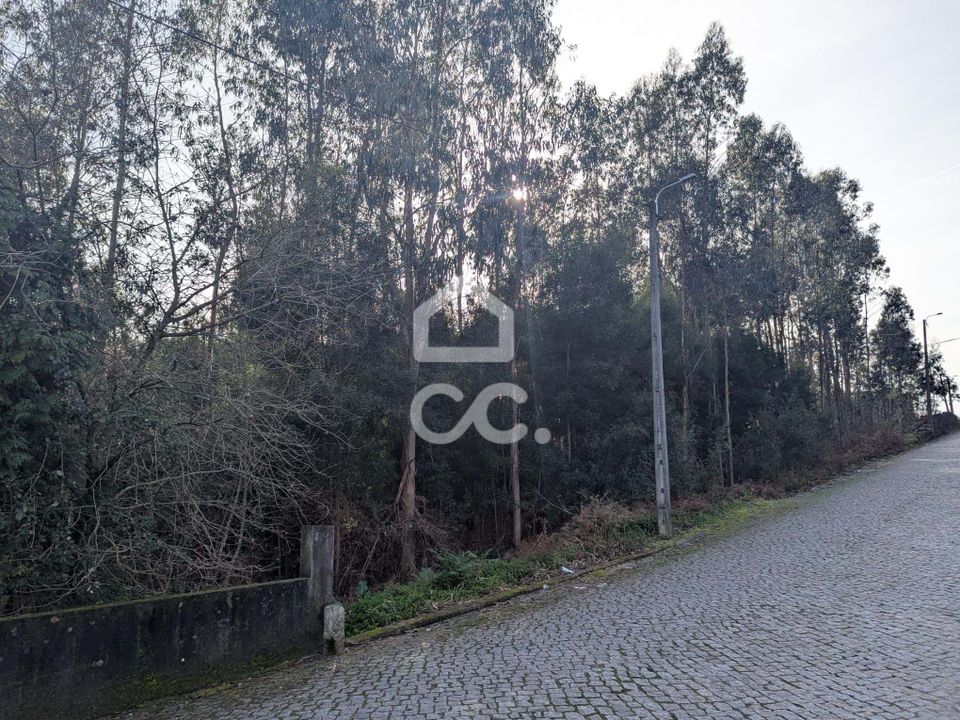 Helårsgrund i Vila Nova de Famalicao, Braga - foto 4