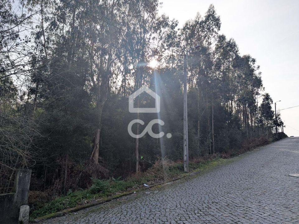 Helårsgrund i Vila Nova de Famalicao, Braga - foto 5