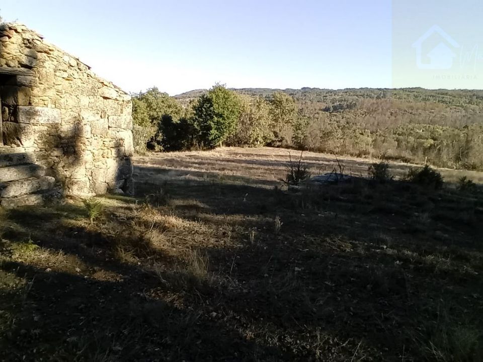 Landejendom i Penalva do Castelo, Viseu - foto 1