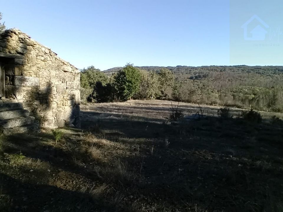 Landejendom i Penalva do Castelo, Viseu - foto 2