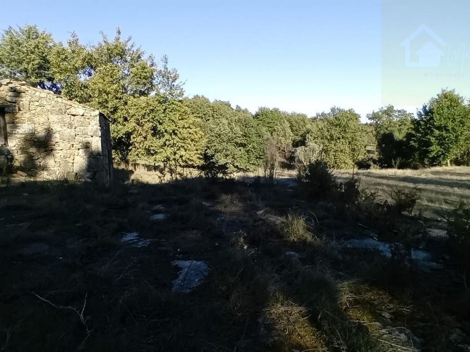 Landejendom i Penalva do Castelo, Viseu - foto 3
