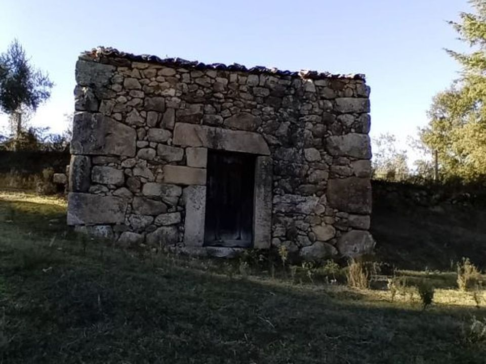 Landejendom i Penalva do Castelo, Viseu - foto 4