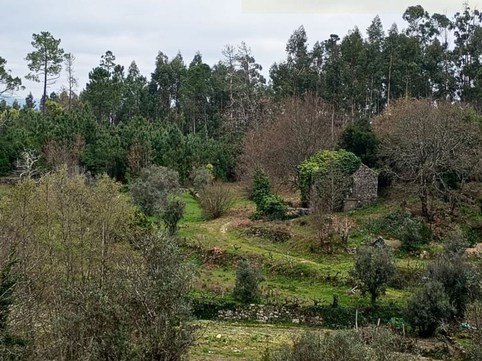 Villa i Mangualde, Viseu - foto 1