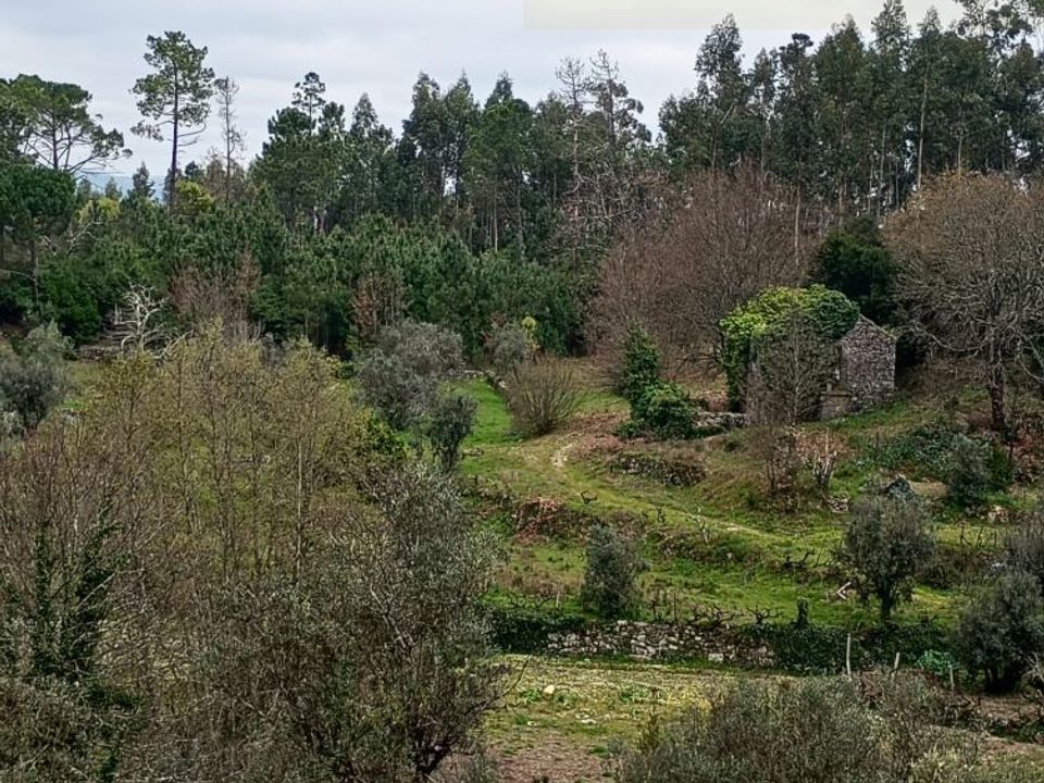 Villa i Mangualde, Viseu - foto 2