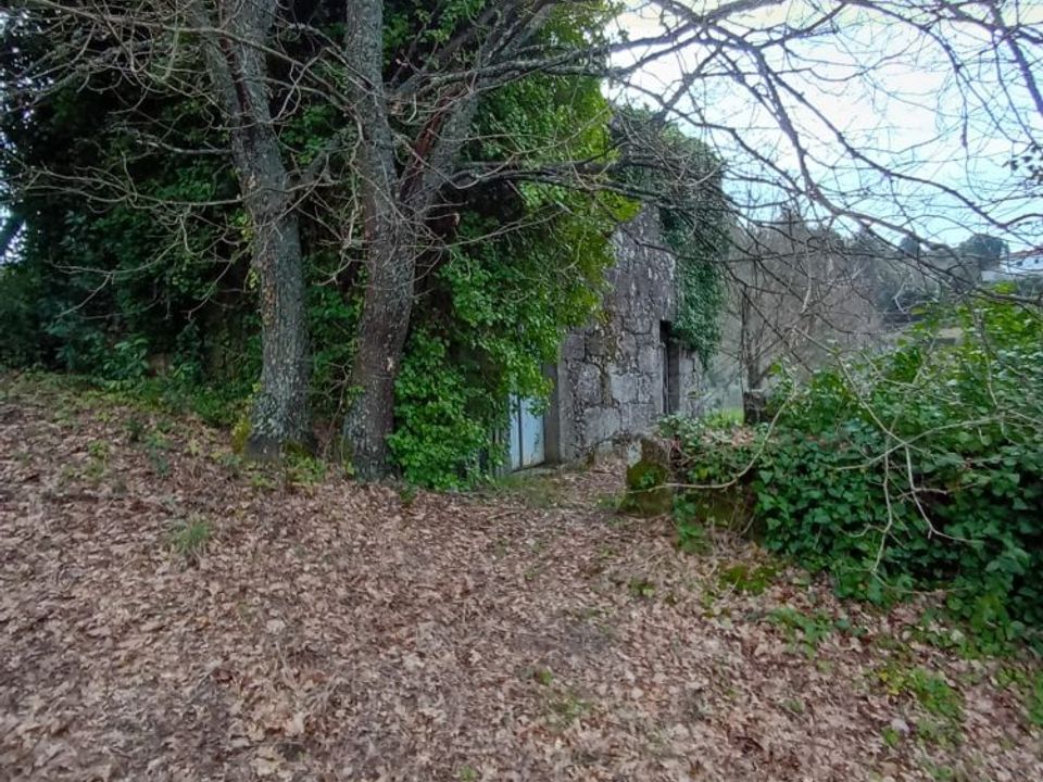 Villa i Mangualde, Viseu - foto 3
