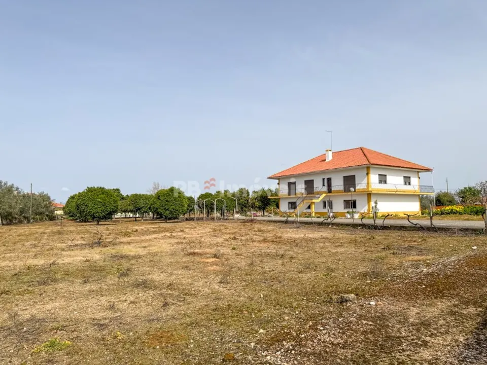 Gård i Golega, Santarem - bilde 1