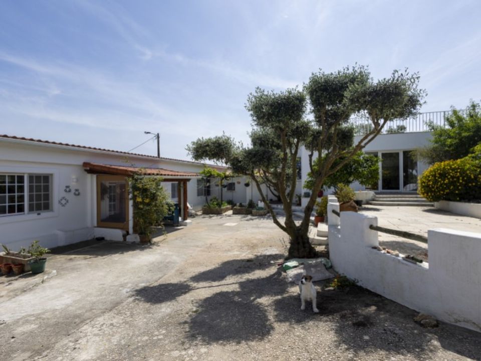 Farm i Ericeira, Lisbon - foto 4