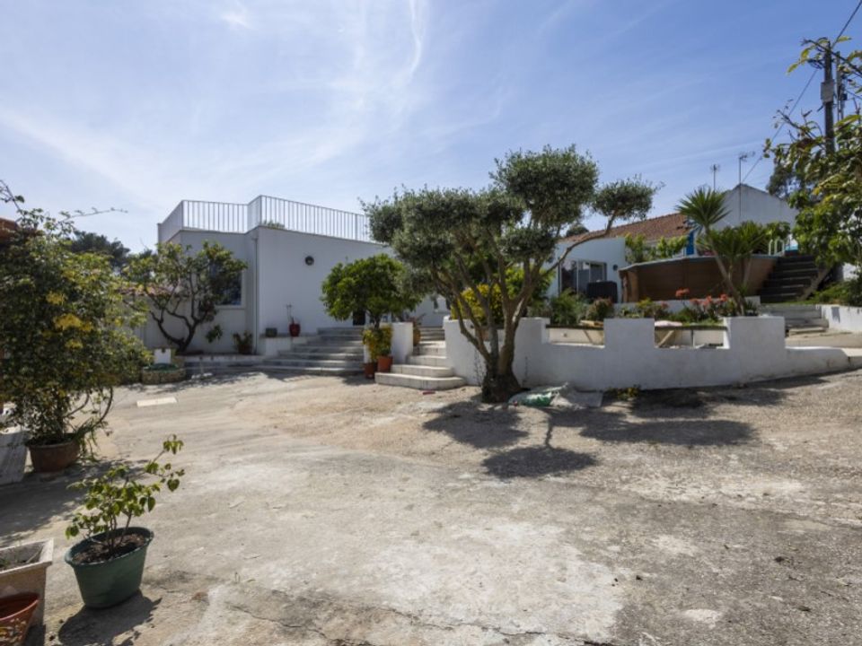 Farm i Ericeira, Lisbon - foto 5