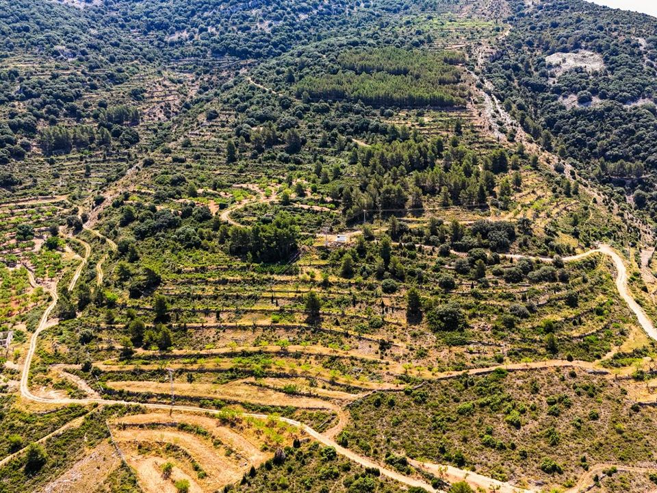 Helårsgrund i Sierra Engarceran, Castellon - foto 1