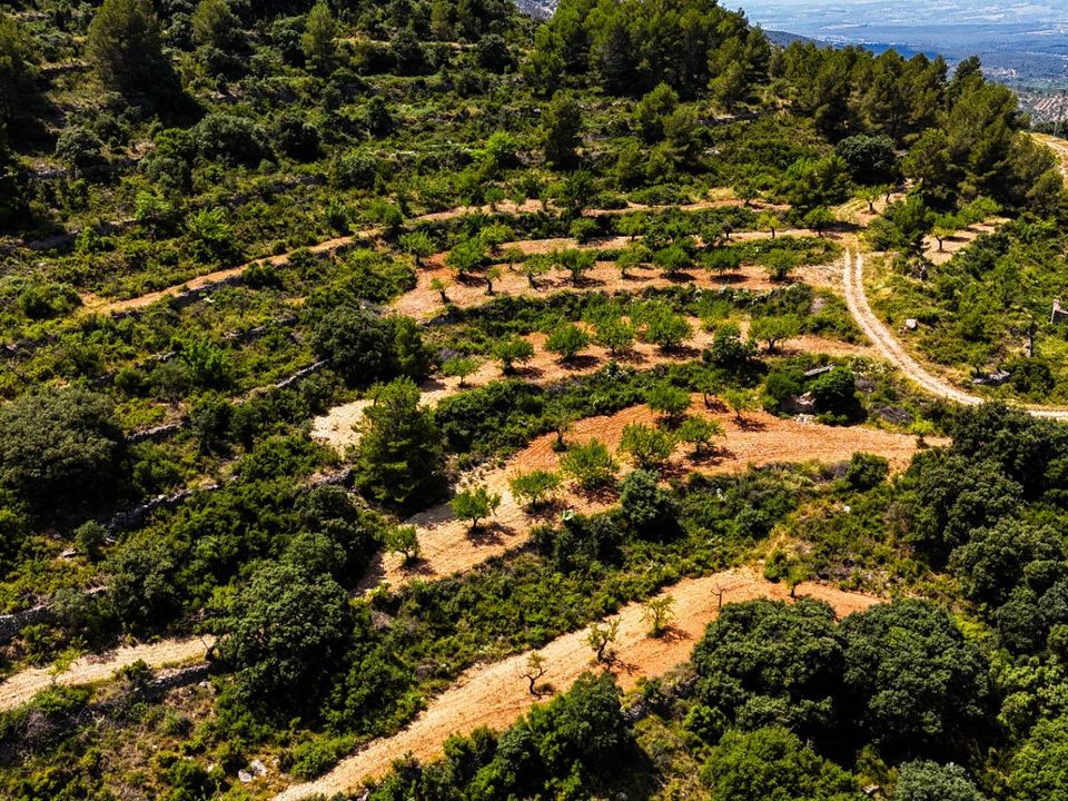 Helårsgrund i Sierra Engarceran, Castellon - foto 4