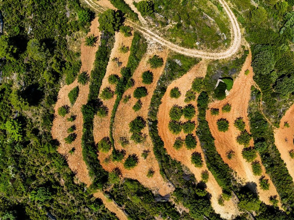 Helårsgrund i Sierra Engarceran, Castellon - foto 5