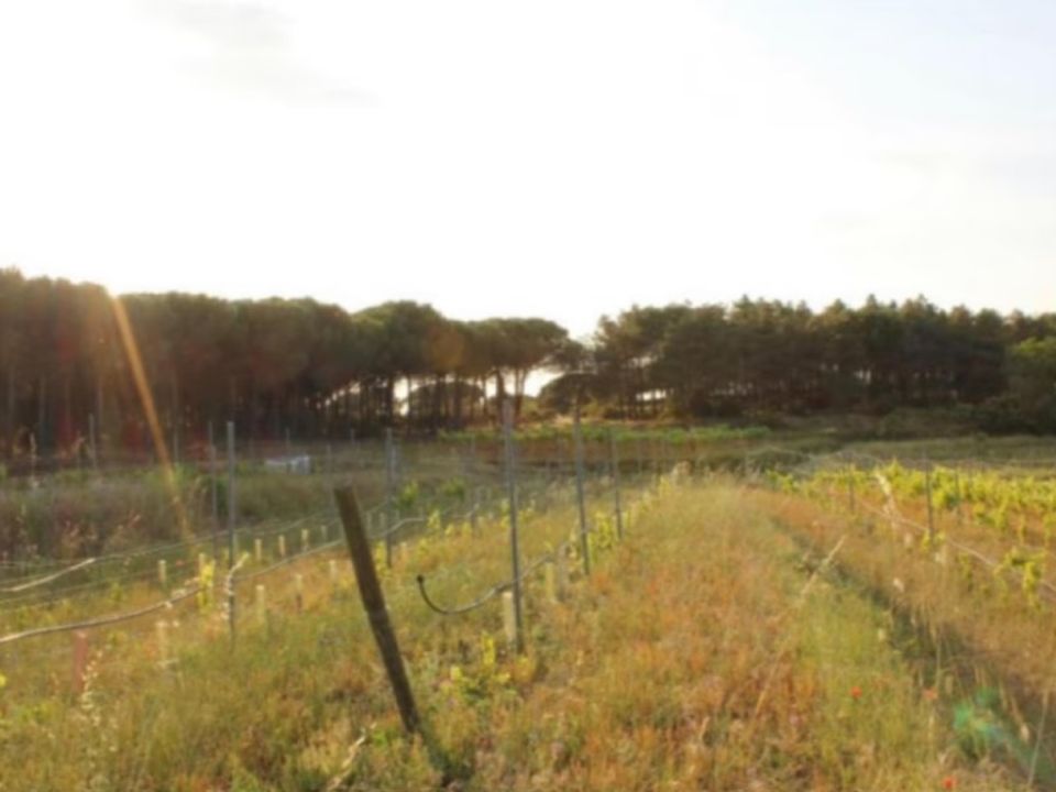 Villa a Tordera, Barcelona - foto 3