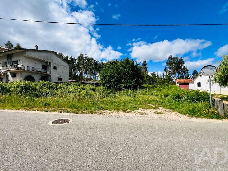 Helårsgrund i Figueiro dos Vinhos, Leiria - foto 1