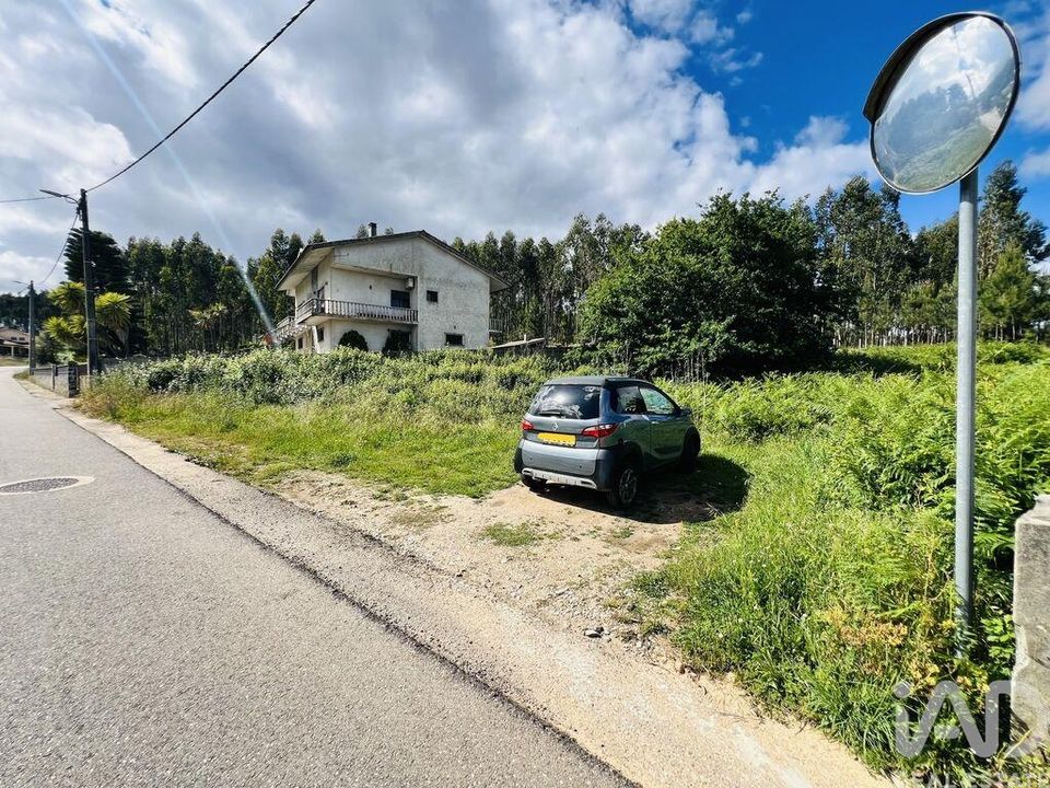 Helårsgrund i Figueiro dos Vinhos, Leiria - foto 3