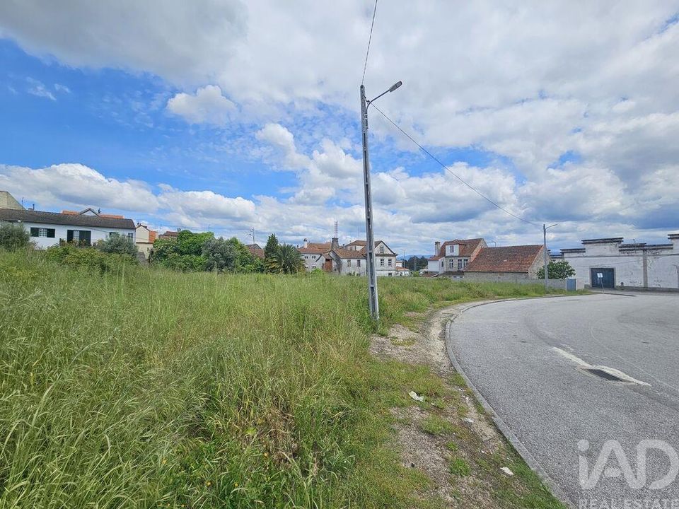 Działka: Nelas, Viseu – zdjęcie 4