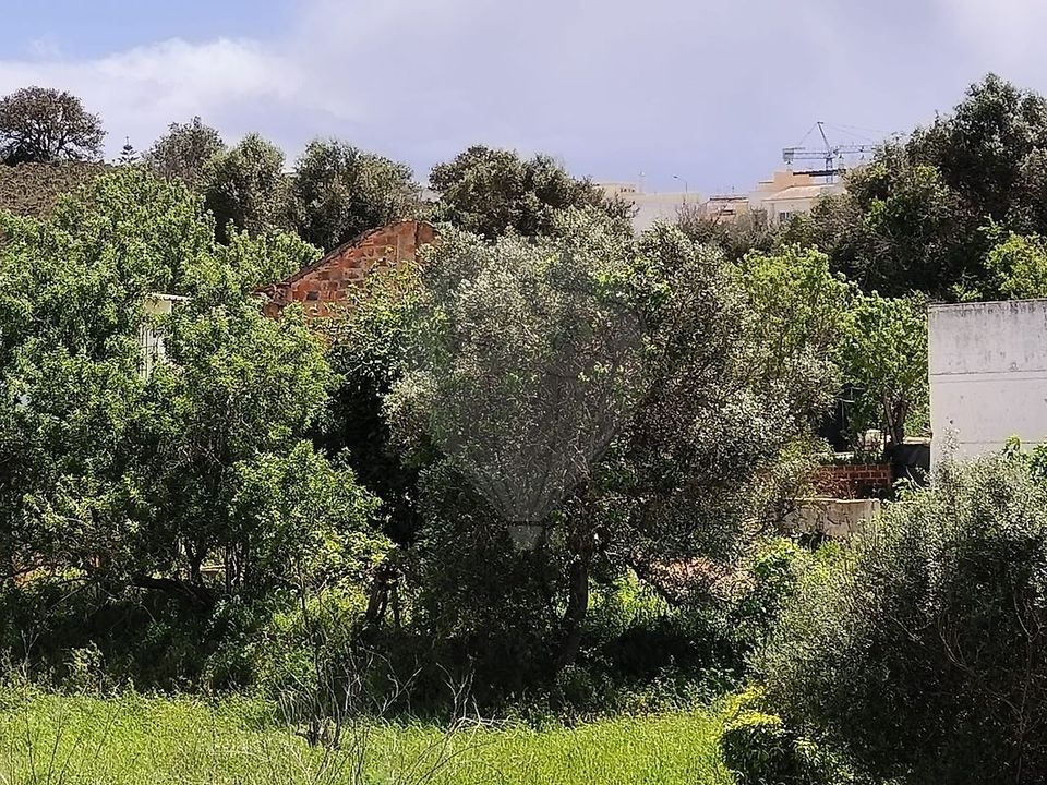 Masia a Lagoa, Faro - foto 2