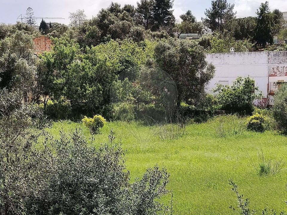 Masia a Lagoa, Faro - foto 4