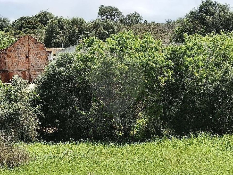 Masia a Lagoa, Faro - foto 5