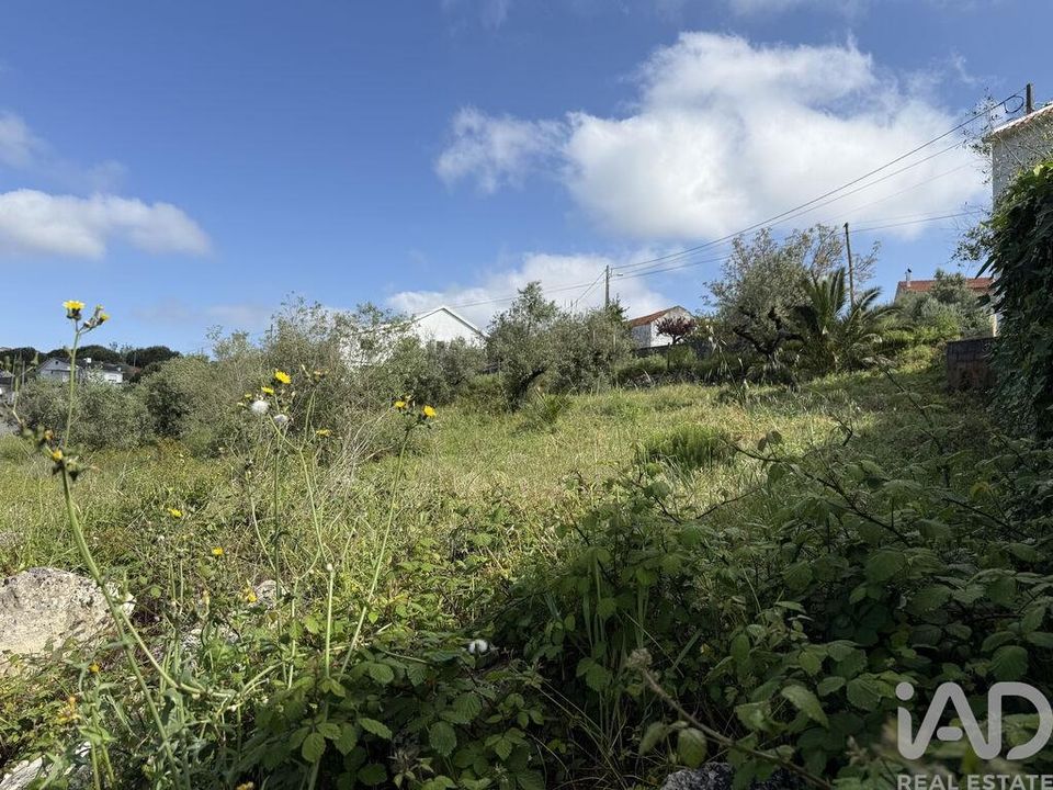 Helårsgrund i Porto de Mos, Leiria - foto 1