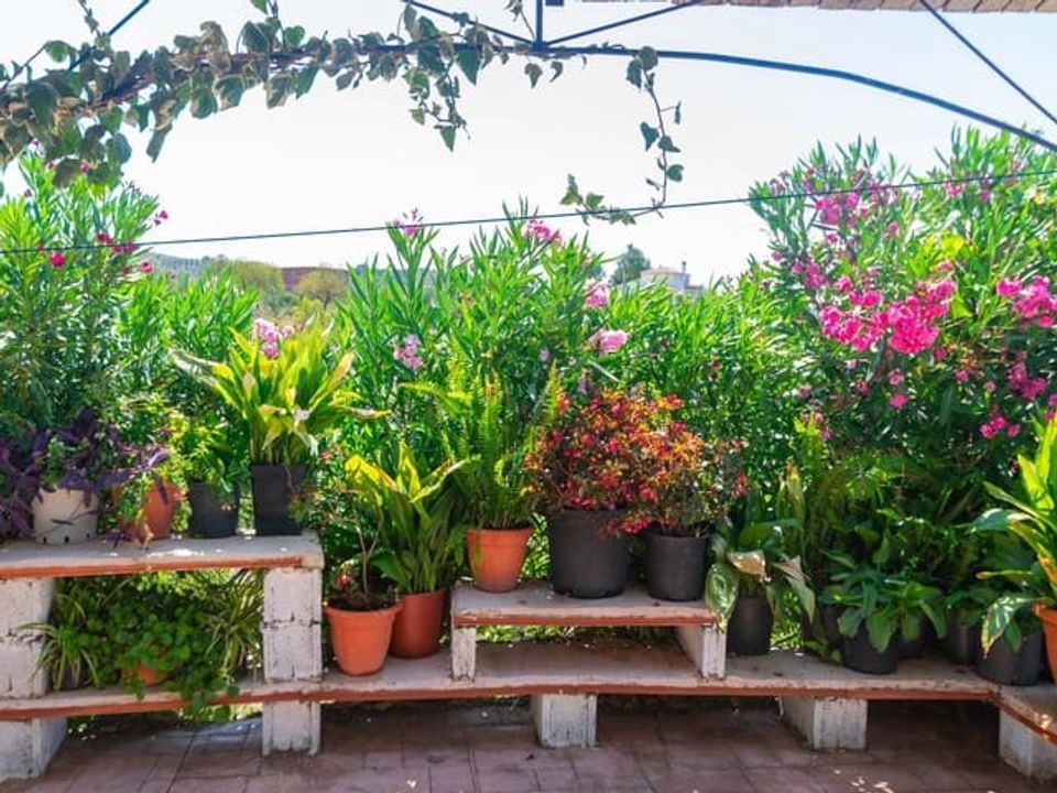 Villa i Sedella, Malaga - foto 5
