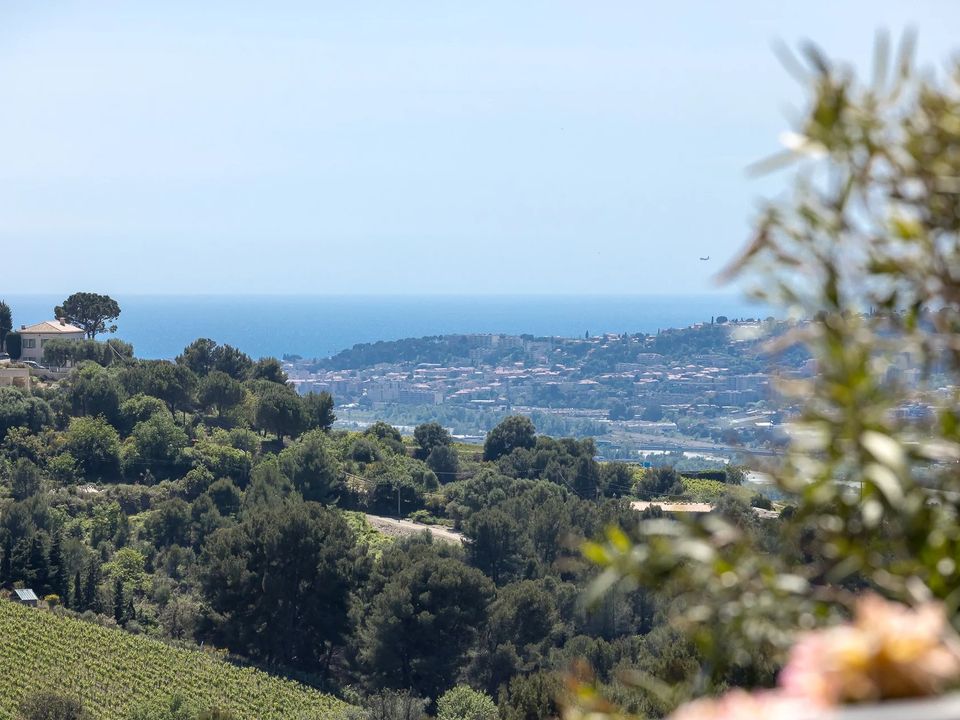 Villa i Nice, Alpes-Maritimes - foto 3