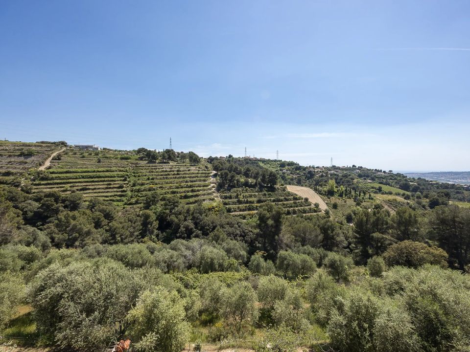 Villa i Nice, Alpes-Maritimes - foto 4