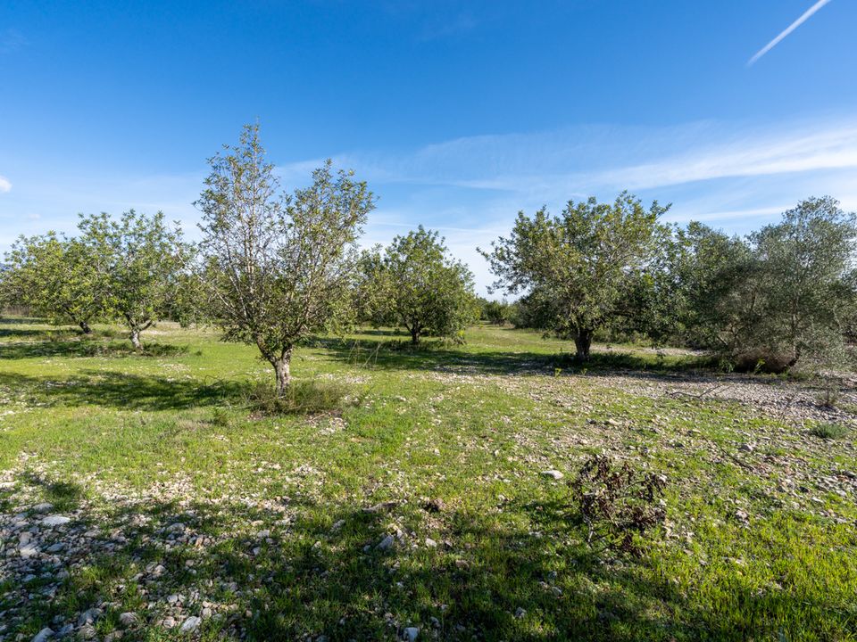 Finca i La Galera, Tarragona - bilde 3
