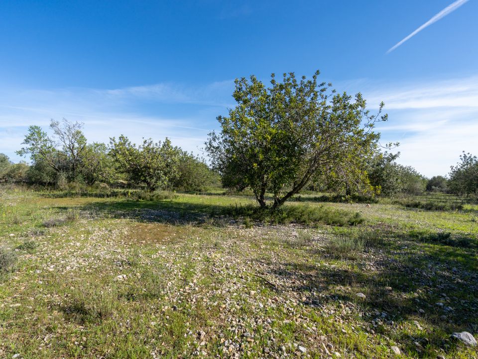 Finca i La Galera, Tarragona - bilde 2