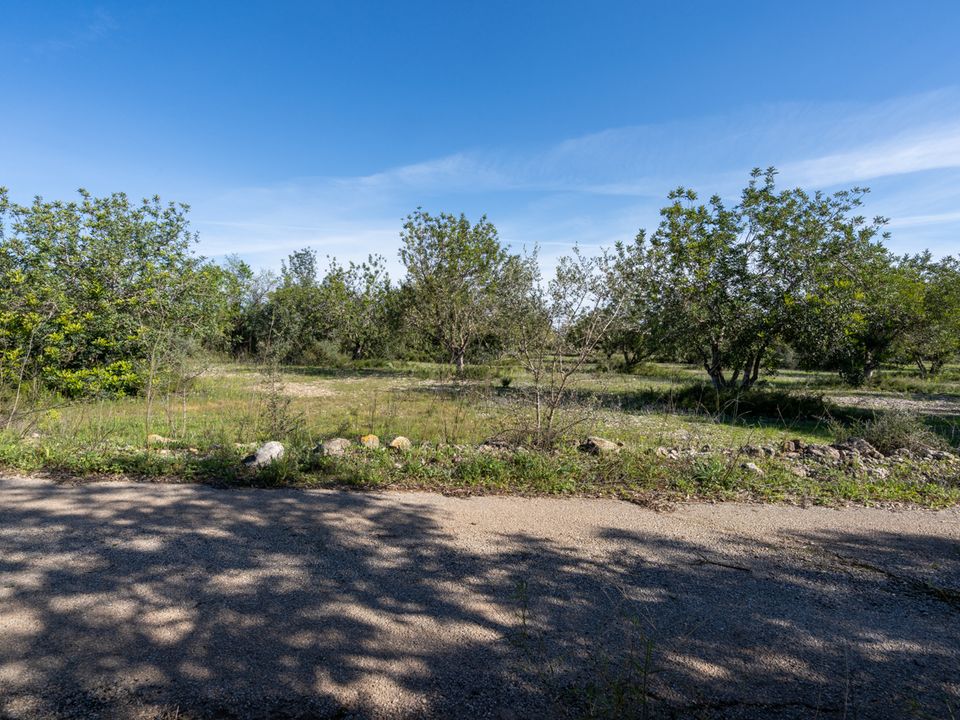 Finca i La Galera, Tarragona - bilde 5