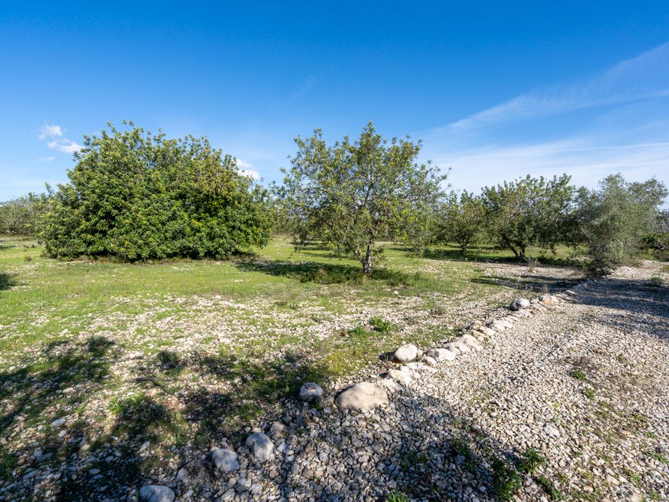 Finca i La Galera, Tarragona - bilde 4