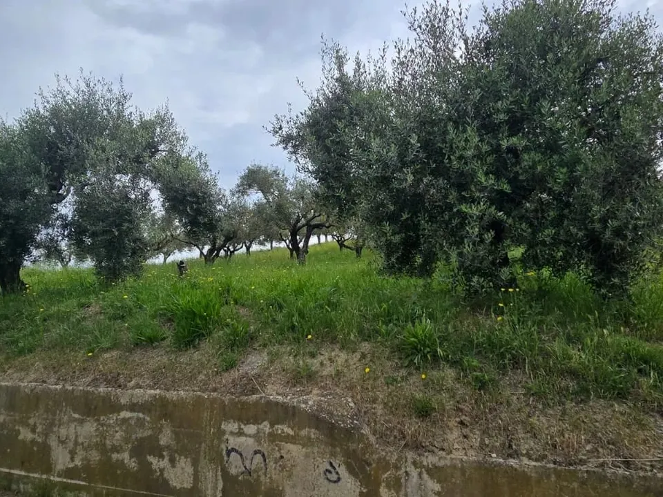 Helårsgrund i San Giovanni Teatino, Chieti - foto 1
