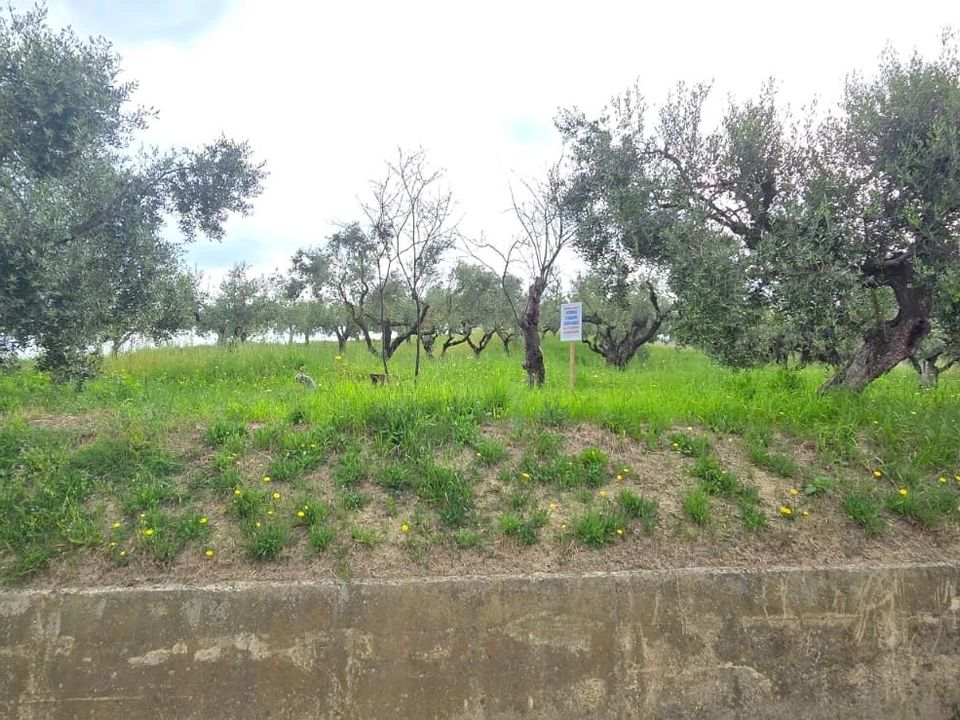 Helårsgrund i San Giovanni Teatino, Chieti - foto 2