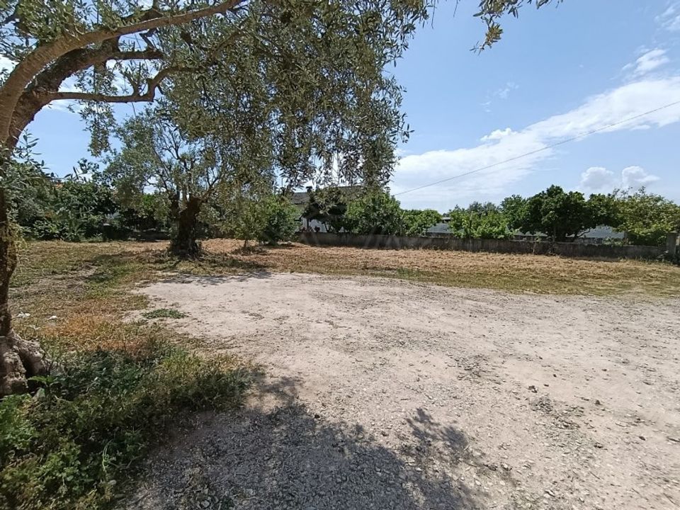 Helårsgrund i Mealhada, Aveiro - foto 2
