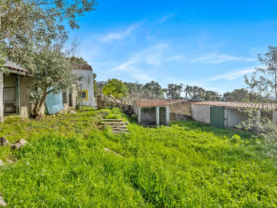 Farm hus i Ribeira de Nisa e Carreiras, Portalegre - foto 2