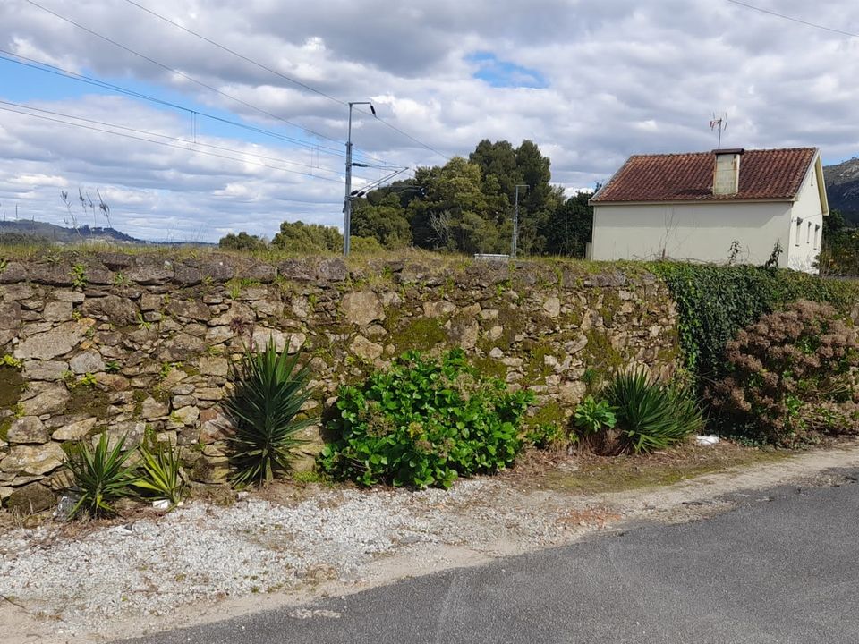 Helårsgrund i Caminha, Viana do Castelo - foto 3