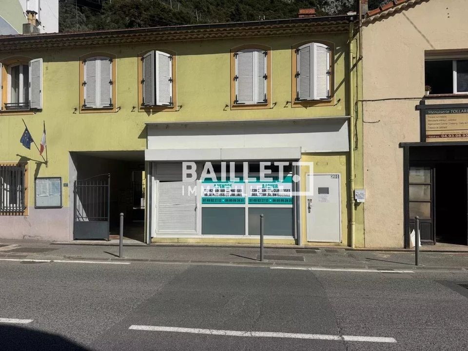 Erhvervsejendom i Levens, Alpes-Maritimes - foto 3