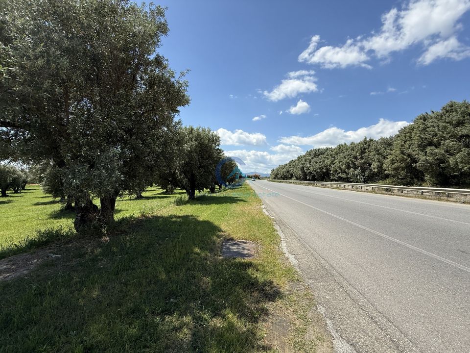 Erhvervsejendom i Catanzaro, Catanzaro - foto 1