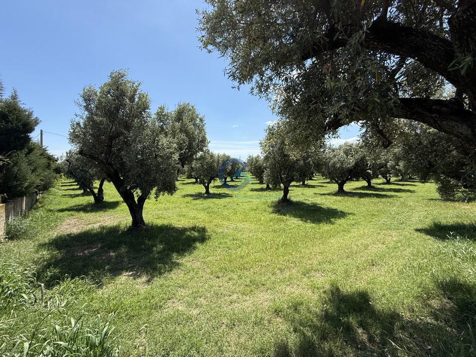 Erhvervsejendom i Catanzaro, Catanzaro - foto 2