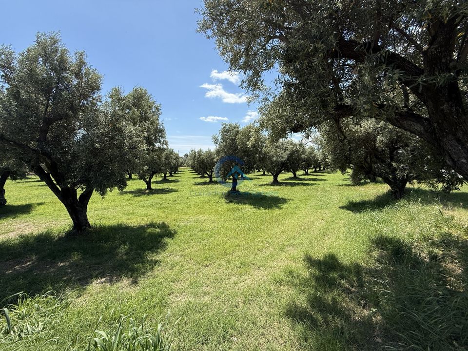 Erhvervsejendom i Catanzaro, Catanzaro - foto 3