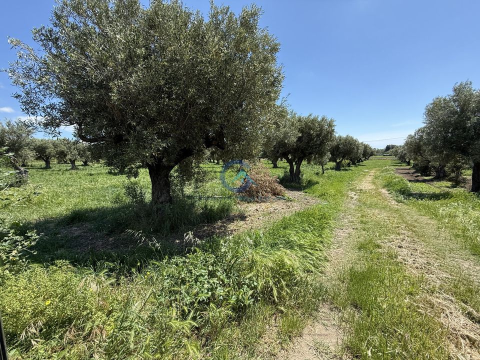 Erhvervsejendom i Catanzaro, Catanzaro - foto 4
