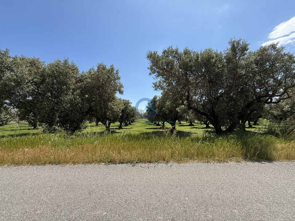 Erhvervsejendom i Catanzaro, Catanzaro - foto 5