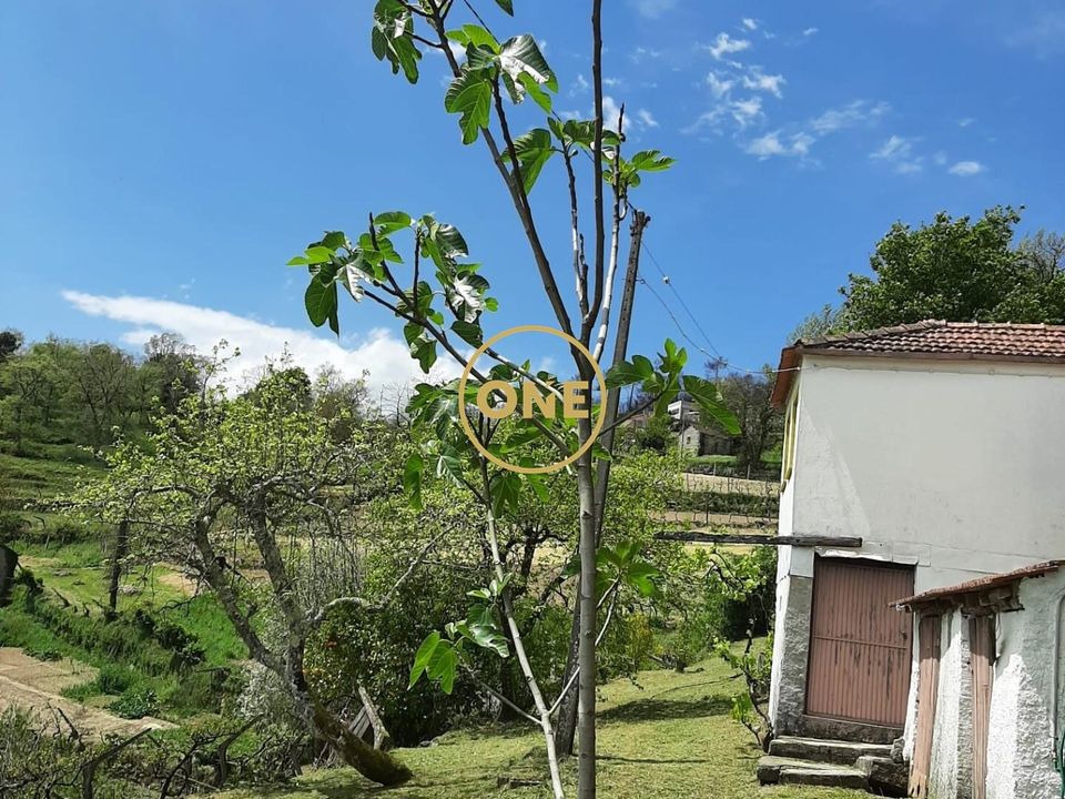 Granja a Baiao, Porto - foto 3