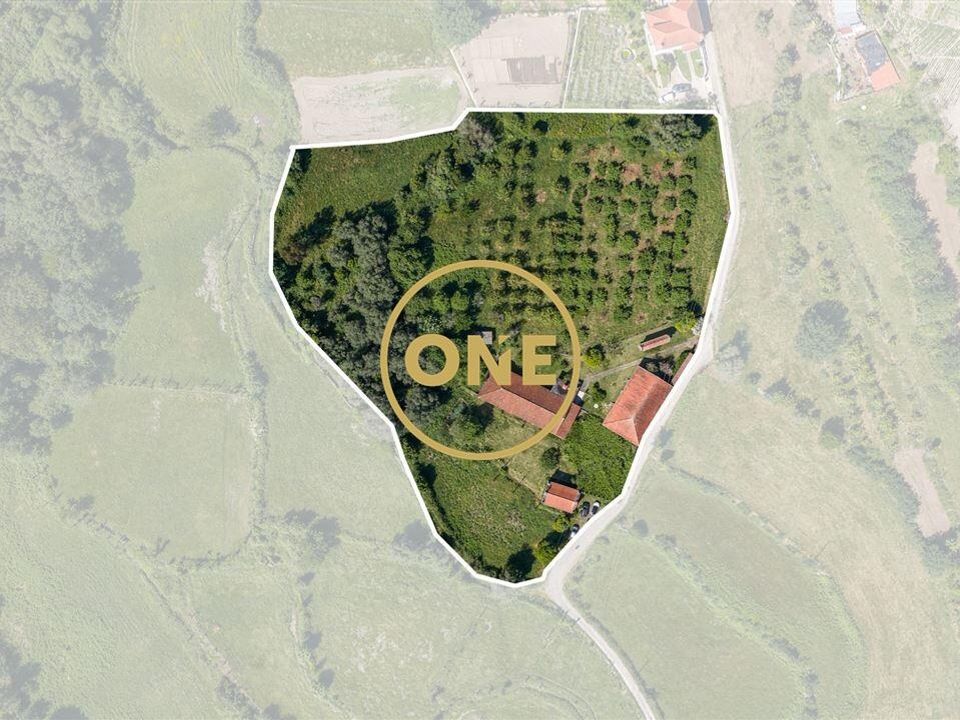 Farm i Vila Verde, Braga - foto 3